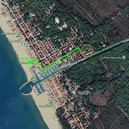 Pellicano *